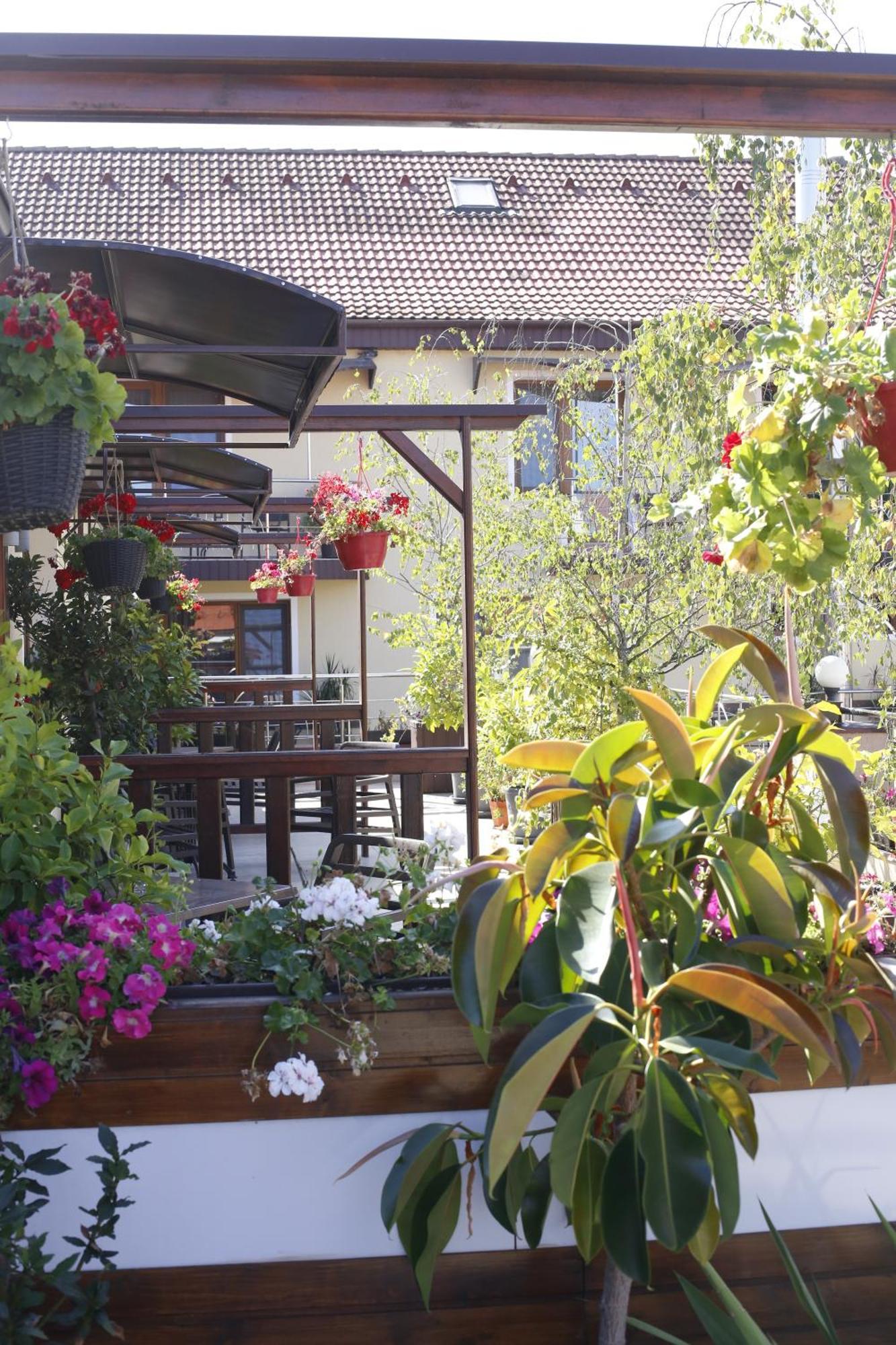 Hotel Bulevard Fagaras Bagian luar foto
